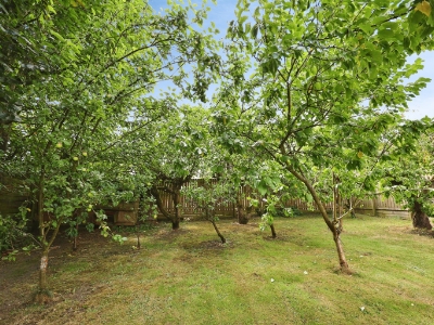 Picture 22
